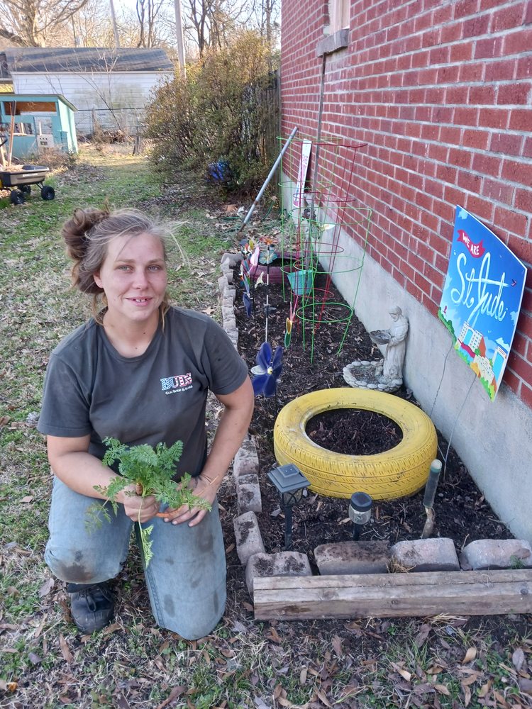 Disease management for trees in Memphis Properties