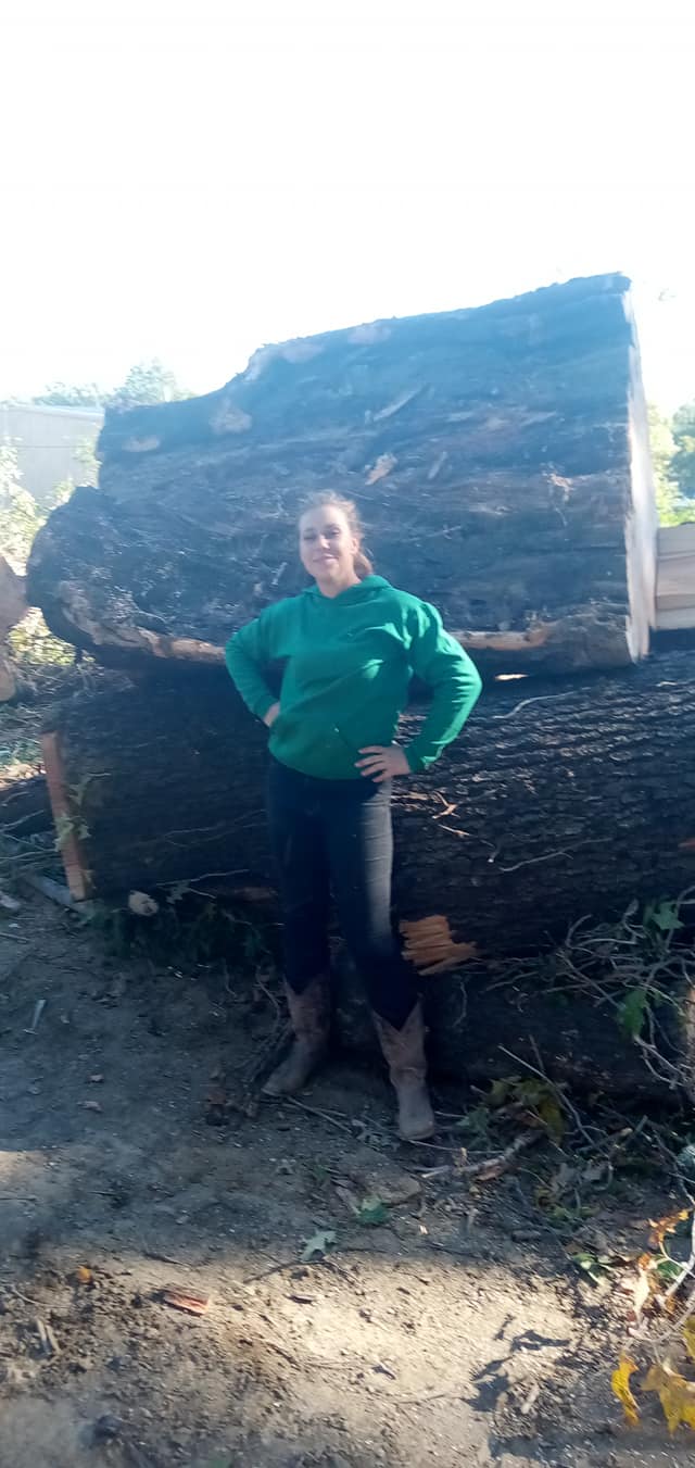 Expert tree planting and transplanting for Memphis properties